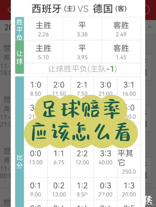 世界杯下注入口平台实时赔率更新 世界杯下注入口平台实时赔率更新